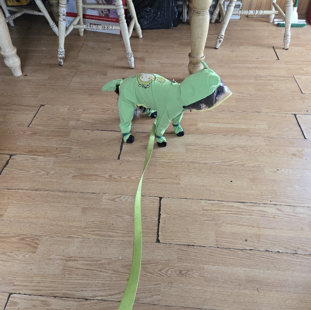 🐸 Small Froggy Puppy Rain Suit
